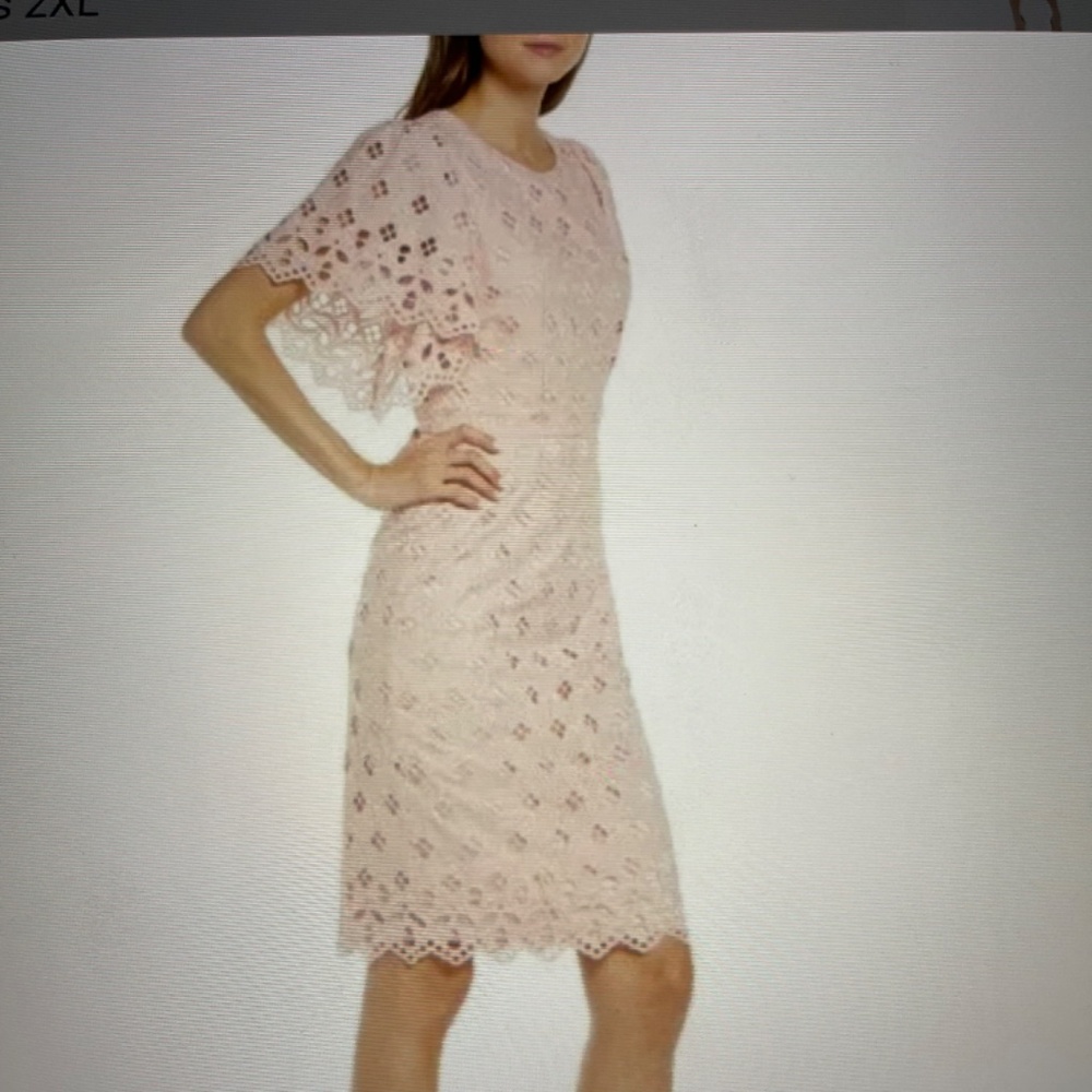 RACHEL PARCELL Women's Pink Eyelet Sheath Pink Midi Dress 2XL (16) - Picture 9 of 12